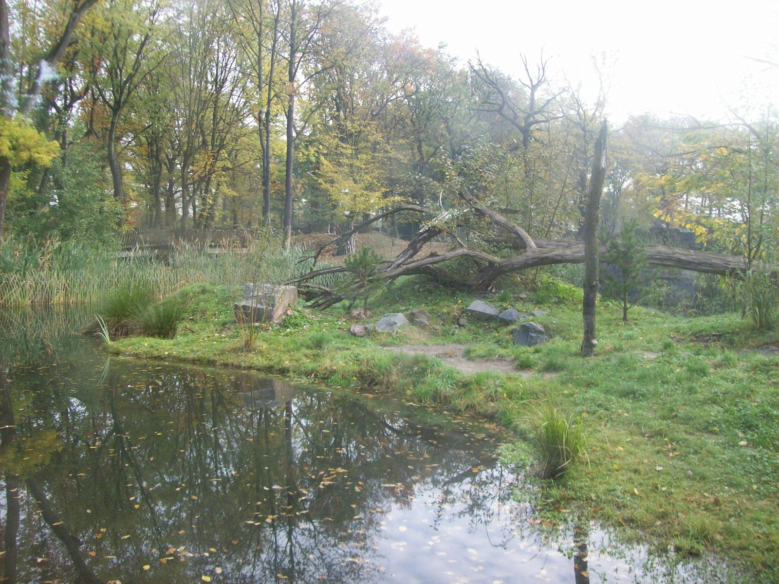 Zoom 18.10.2008-001.jpg